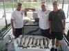 (09/04/2017) - Nice Striped Bass